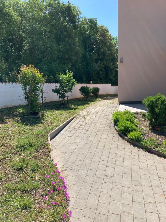Villa Dijana Viskovici Экстерьер фото
